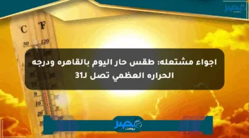 أجواء مشتعلة: طقس حار اليوم بالقاهرة ودرجة الحرارة العظمى تصل لـ31